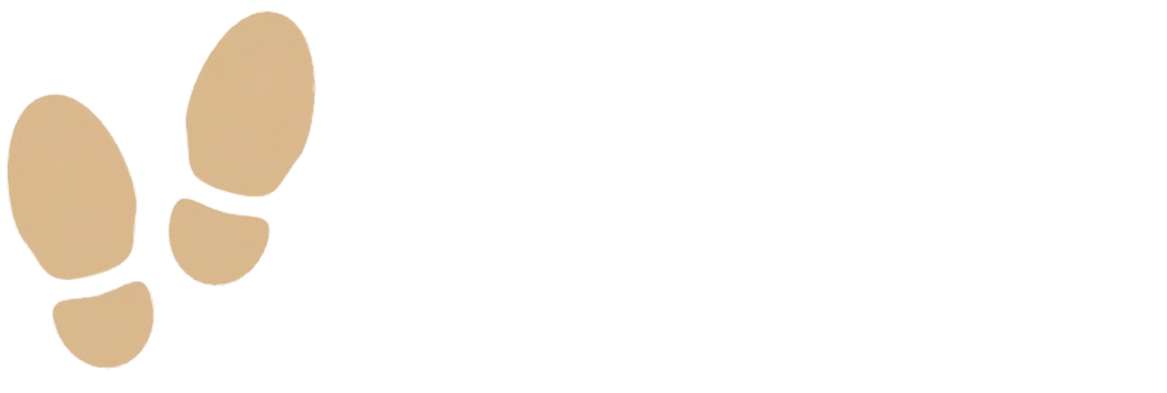 PassiLuce Logo